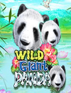 เงินฟรี เล่นเกมได้เงิน 2019 กับ CQ9 ที่คุณไม่ควรพลาด